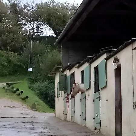 Et Centre Equestre A Mers-les-Bains